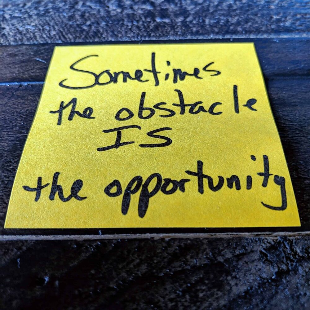 Sometimes the obstacle is the opportunity